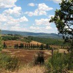 IMG_4378 IMG_4378