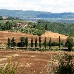 IMG_4379 IMG_4379
