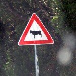 IMG_4381 IMG_4381
