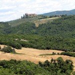 IMG_4382 IMG_4382