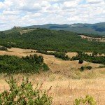 IMG_4383 IMG_4383