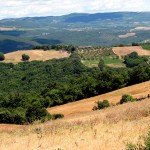 IMG_4385 IMG_4385