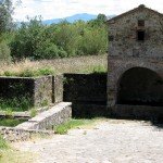 IMG_4388 IMG_4388