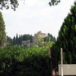 IMG_4528
