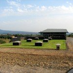 IMG_4567