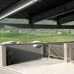IMG_4569