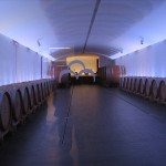 IMG_4582