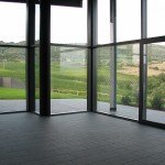 IMG_4598