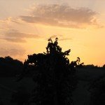 IMG_4602
