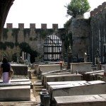 IMG_4699