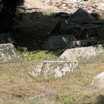 IMG_4713