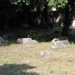 IMG_4714