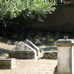 IMG_4719