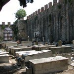 IMG_4724