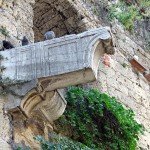 IMG_4731