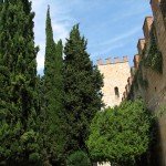 IMG_4734