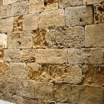 IMG_4737