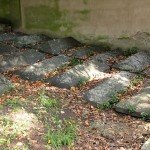 IMG_4744