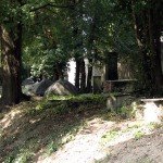 IMG_4750