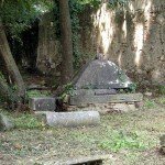 IMG_4757