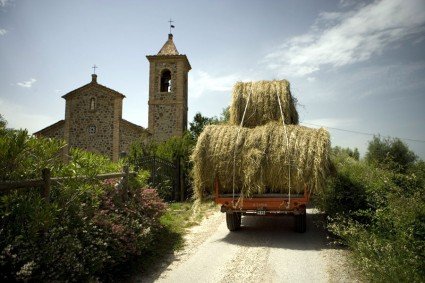 Alta Maremma