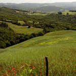 what to see in southern tuscany