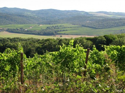 Slow driving in Tuscany