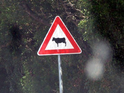 Road sign in Tuscany