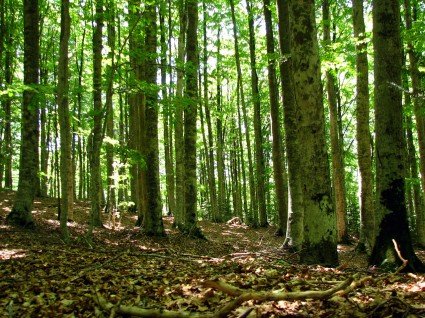 picnic monte amiata