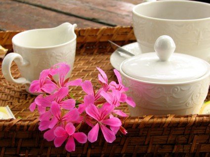 tea in the countryside of Tuscany