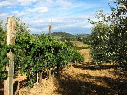 countryside of Tuscany
