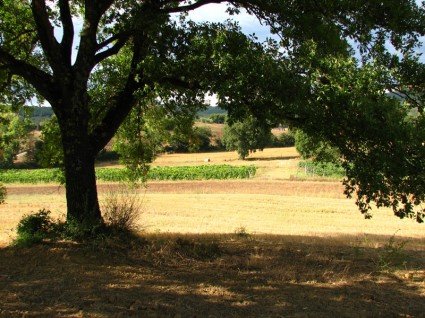 countryside of Tuscany