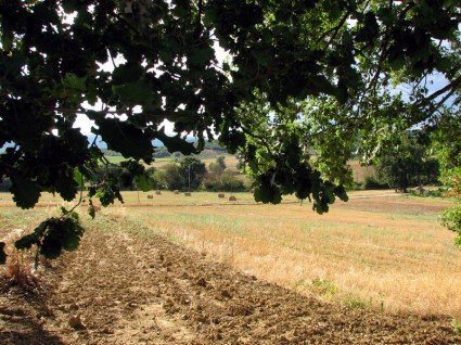 countryside of Tuscany