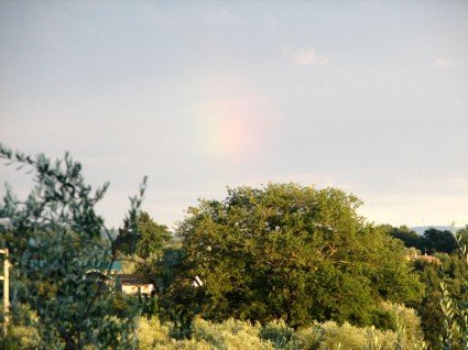 the Tuscan countryside after the rain