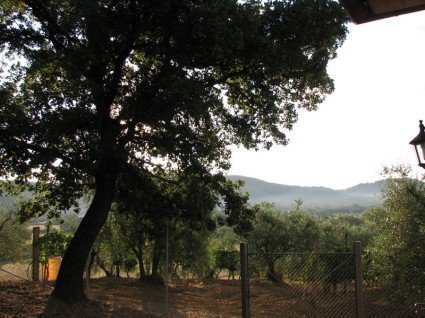 morning light in Tuscany