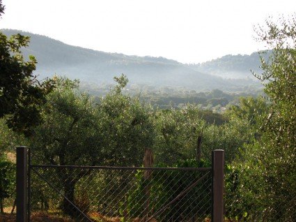 morning light in Tuscany