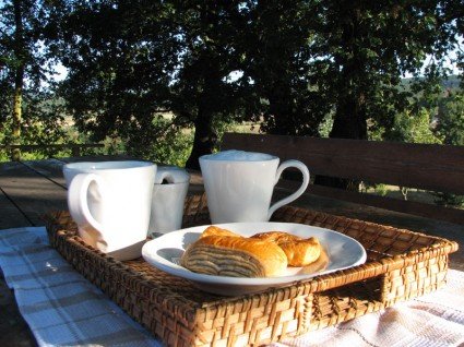 A cappuccino under the oak trees