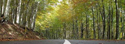 amiata
