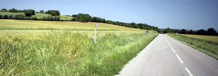 driving in tuscany