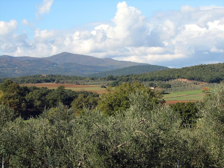 november in tuscany