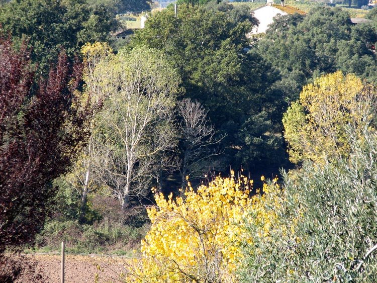 november in tuscany