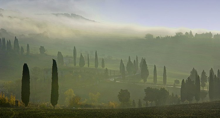 november in tuscany