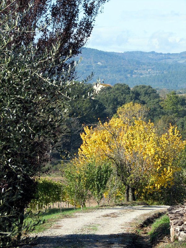 fall in tuscany