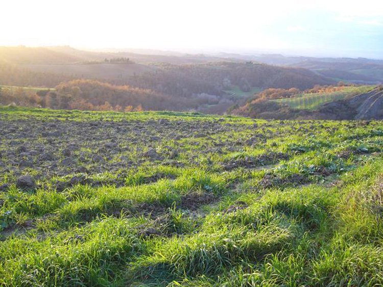 December in Tuscany