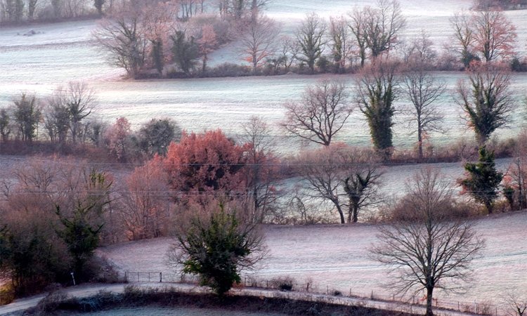 frost in tuscany