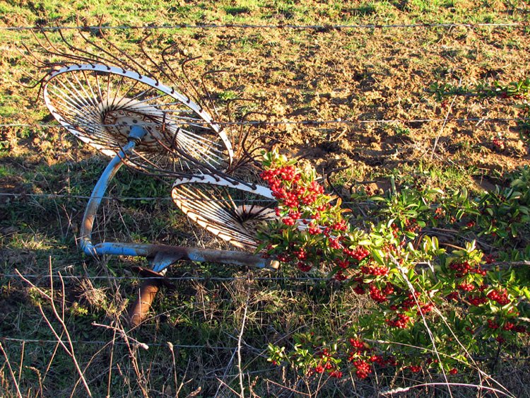 Tuscany in January