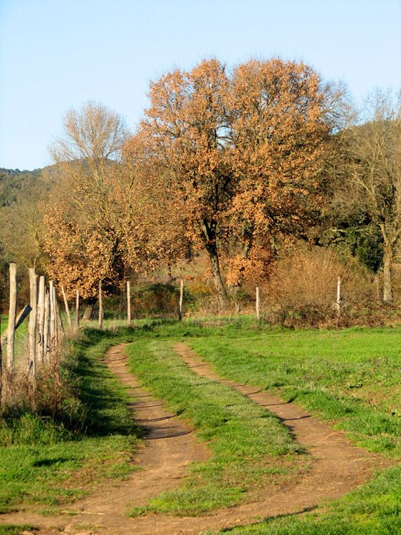 Tuscany in January