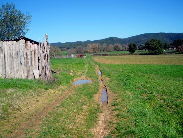 Tuscany in March