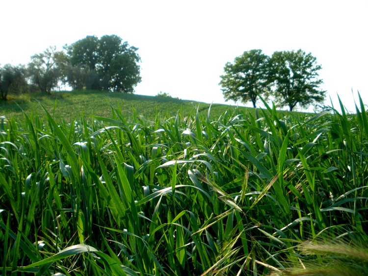 May in Tuscany