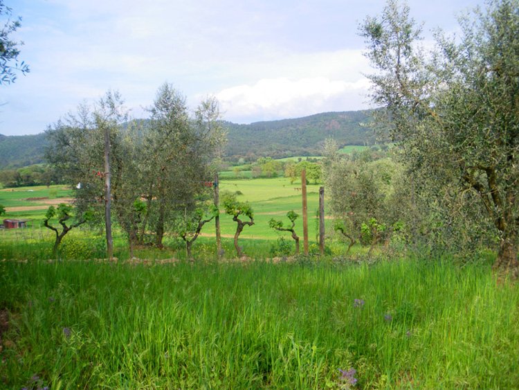 Tuscany in April